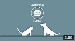 Niedriger glykämischer Index